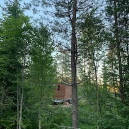 Casa de Férias Off-grid Minihus Pa Finnskogen. Kongsvinger