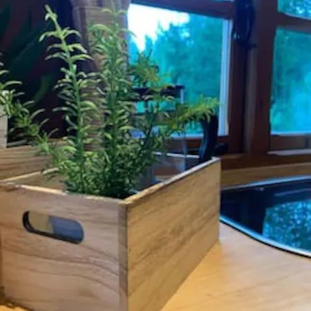 Off-grid Minihus Pa Finnskogen. Kongsvinger